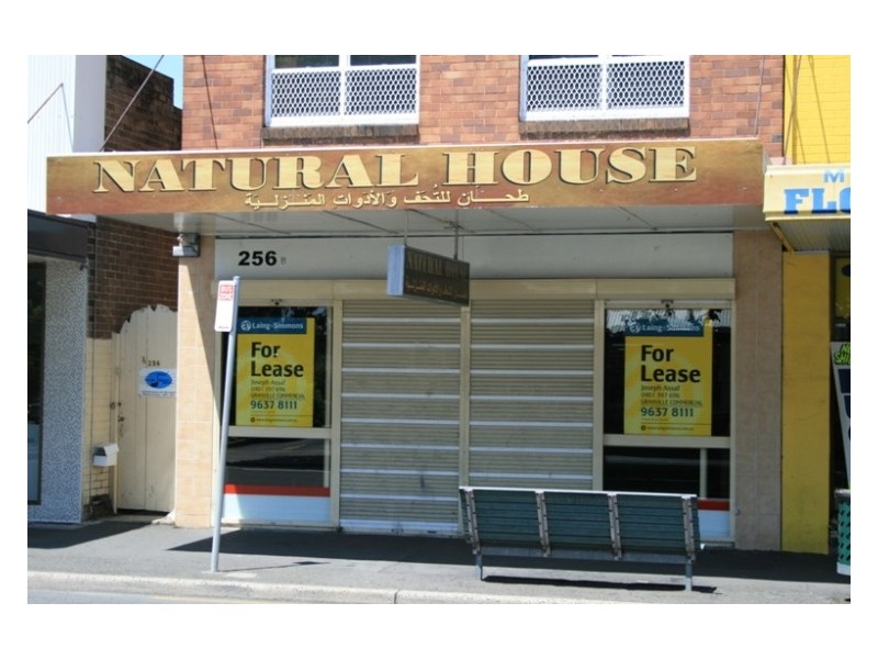 256  Merrylands Road, Merrylands NSW 2160