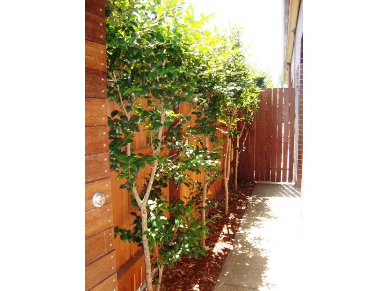 Kingsford NSW 2032