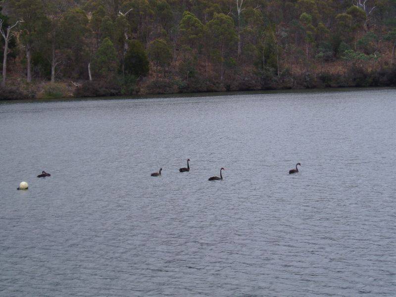 79  Bayview Drive, Blackstone Heights TAS 7250