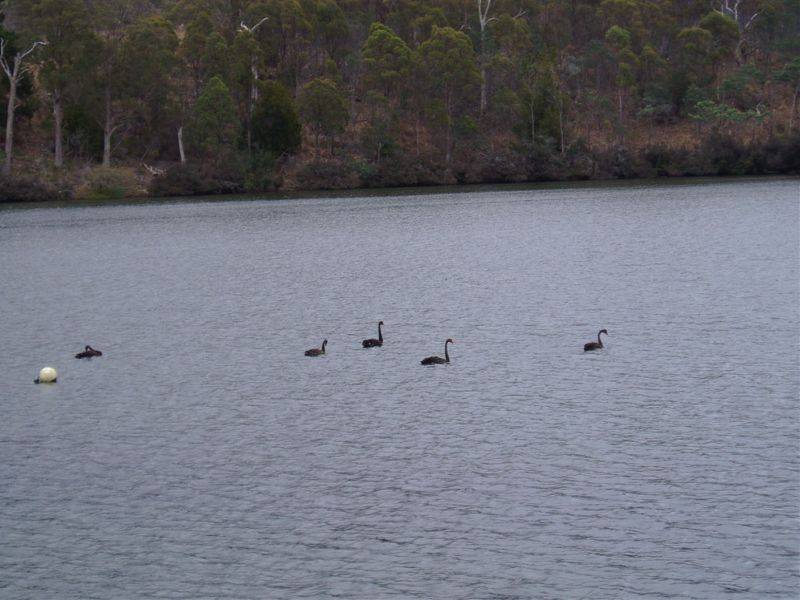 79  Bayview Drive, Blackstone Heights TAS 7250