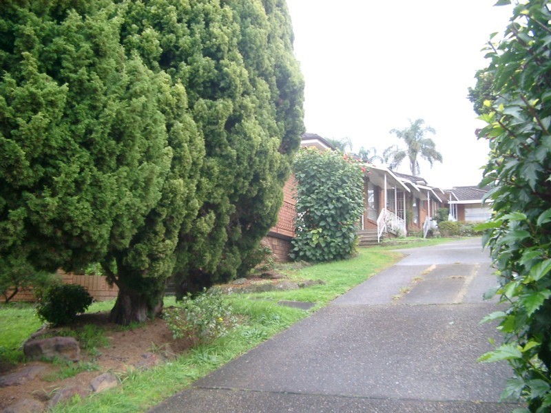 120 Wolseley Street, Kogarah NSW 2217