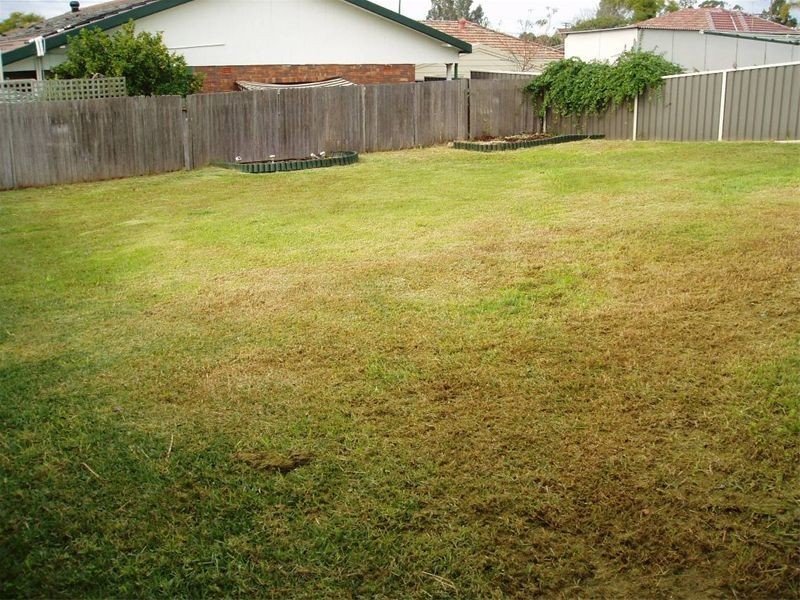 41  Dennis Street, Greystanes NSW 2145