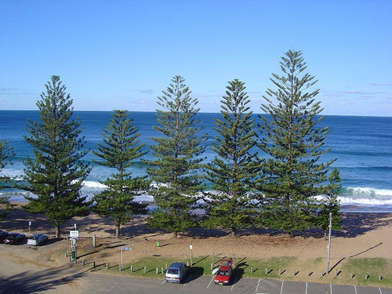 231 WHALE BEACH ROAD, Whale Beach NSW 2107