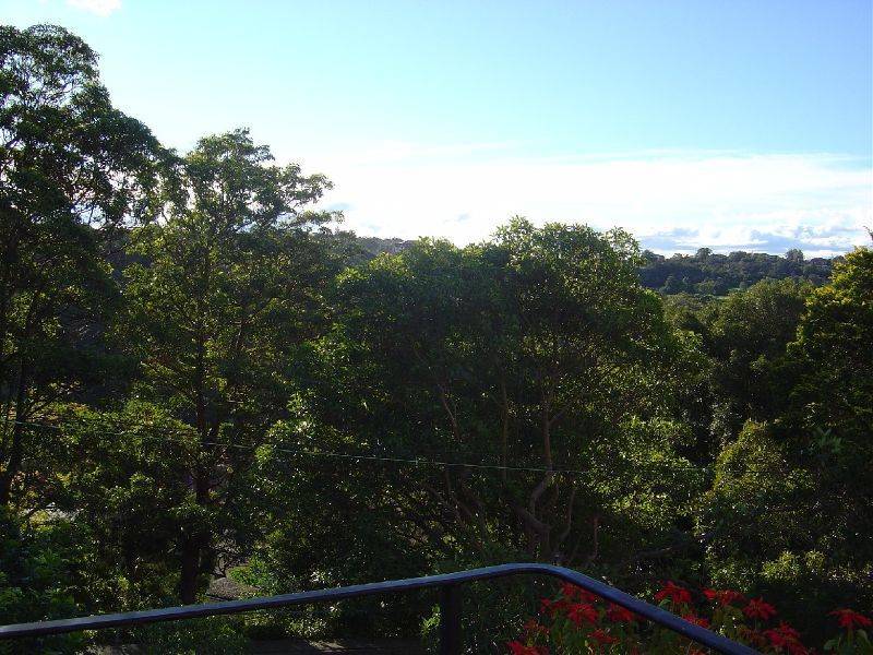 55 CAMMERAY ROAD, Cammeray NSW 2062