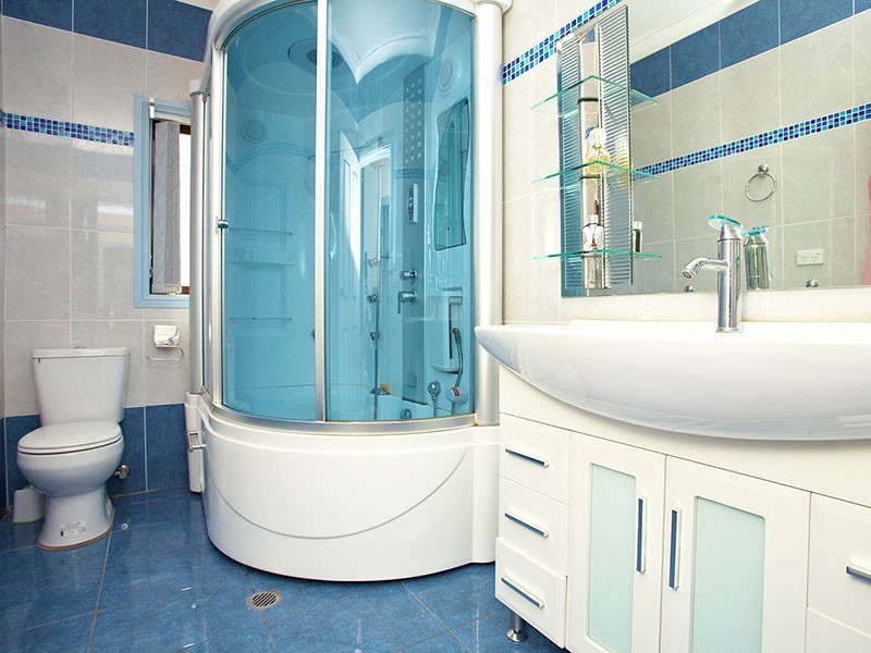 17   Oak Street, Parramatta NSW 2150