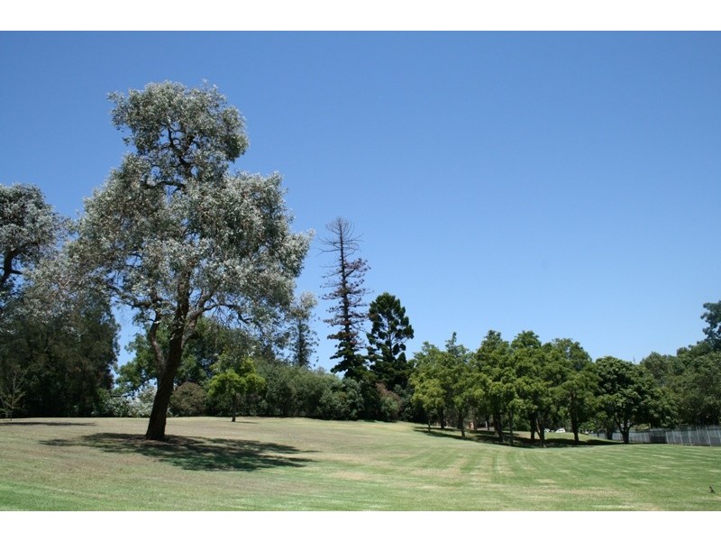 17   Oak Street, Parramatta NSW 2150