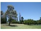 17 Oak Street, Parramatta NSW 2150