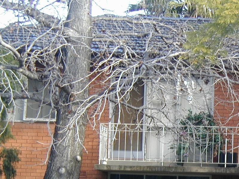 6/37 Isabella Street, North Parramatta NSW 2151