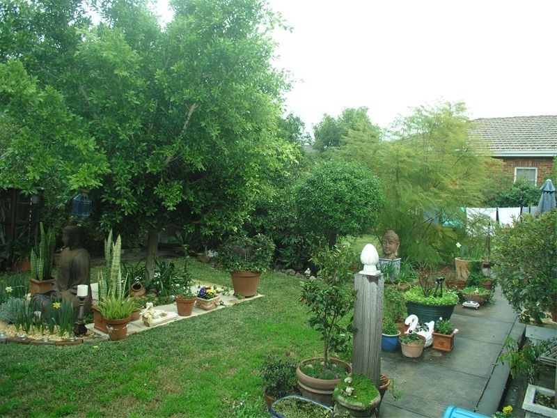 19  Emert Street, Wentworthville NSW 2145