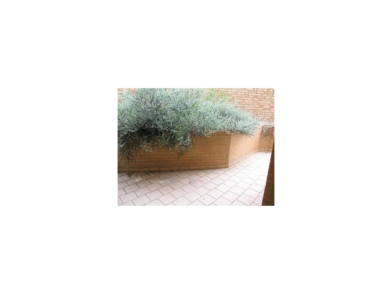 7/1  Macquarie Street, Parramatta NSW 2150