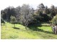 17 Gray Street, Port Macquarie NSW 2444