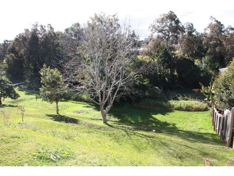 17 Gray Street, Port Macquarie NSW 2444