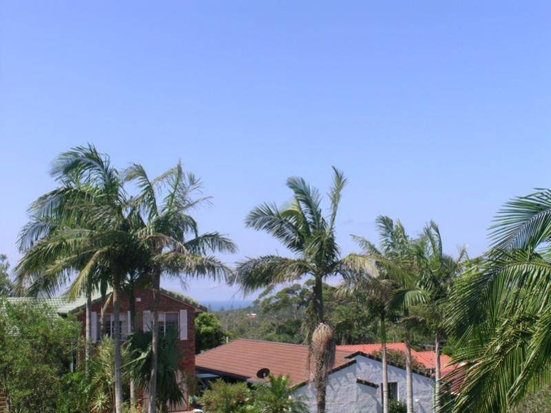 Port Macquarie NSW 2444