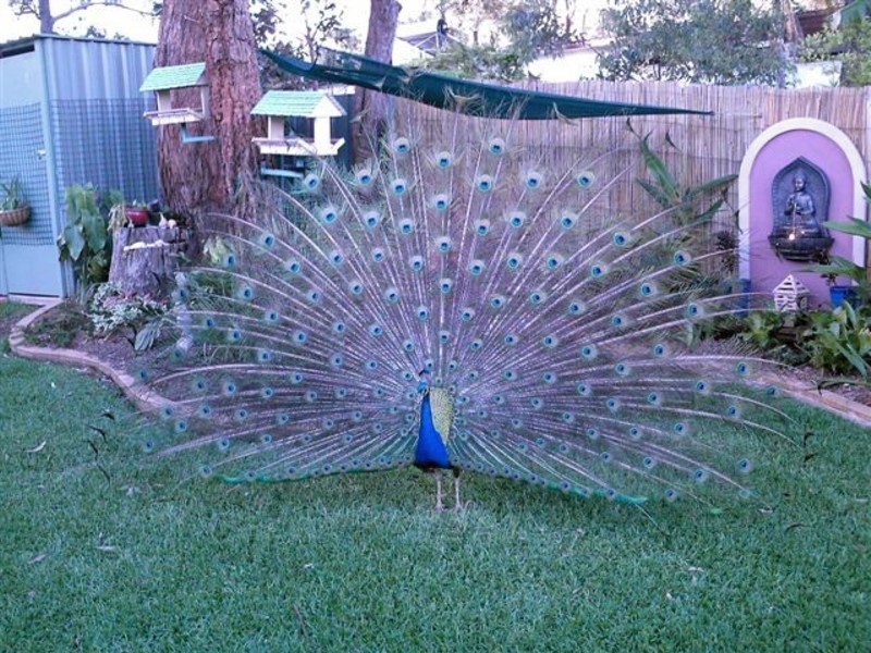 Port Macquarie NSW 2444