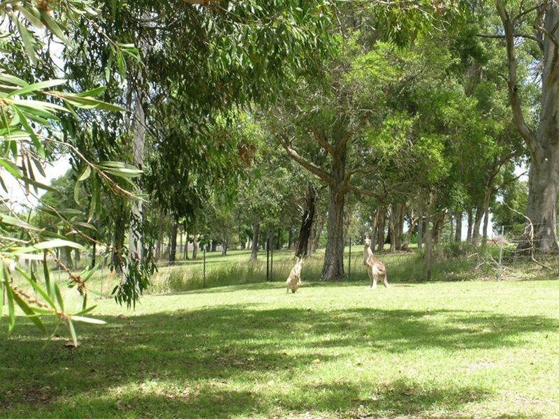 Port Macquarie NSW 2444
