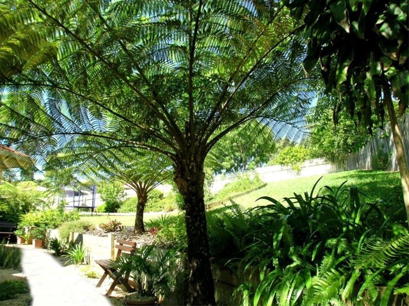 Port Macquarie NSW 2444