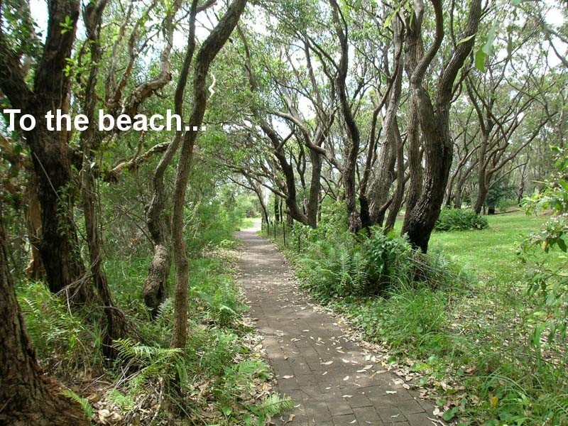 Bonny Hills NSW 2445