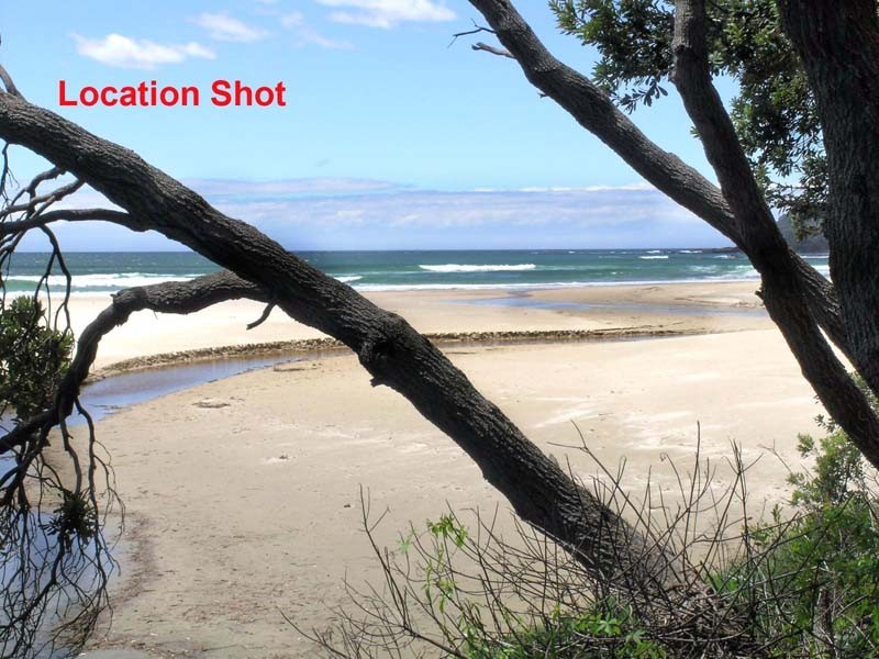 Bonny Hills NSW 2445