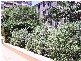 1604/73  Victoria Street, Potts Point NSW 2011