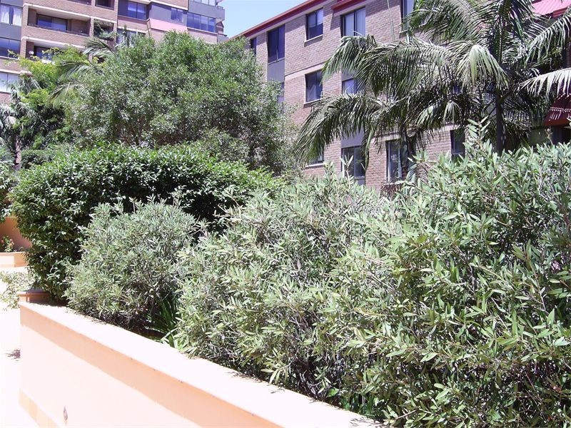 1604/73  Victoria Street, Potts Point NSW 2011