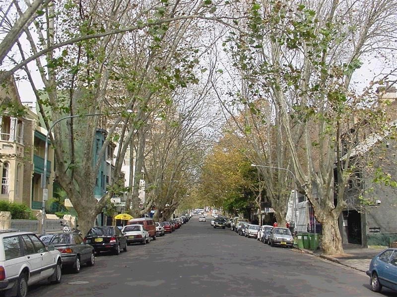 3/87-95  Victoria Street, Potts Point NSW 2011