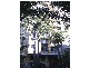 68/103  Victoria Street, Potts Point NSW 2011