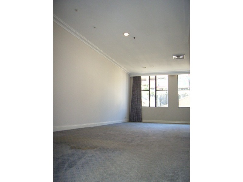 315/88  Dowling Street, Woolloomooloo NSW 2011