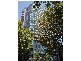1704/7  Rockwall Crescent, Potts Point NSW 2011