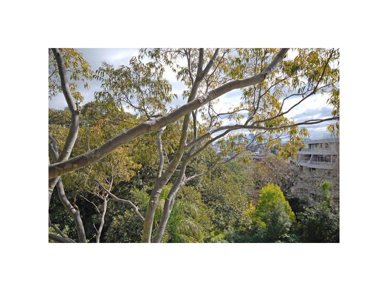 508/8  New McLean Street, Edgecliff NSW 2027