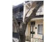 67 Boronia Street, Redfern NSW 2016