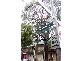 40  Lansdowne Street, Surry Hills NSW 2010