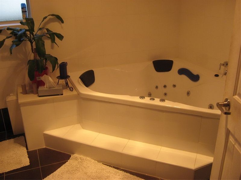 17 Weyland St, Punchbowl NSW 2196