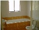 55A  Platts Ave, Belmore NSW 2192