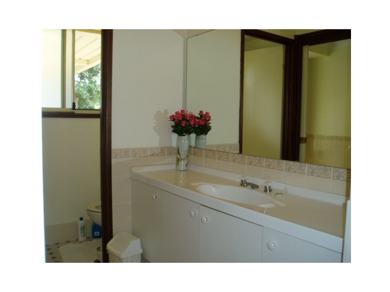15A  Reid Avenue, Clemton Park NSW 2206