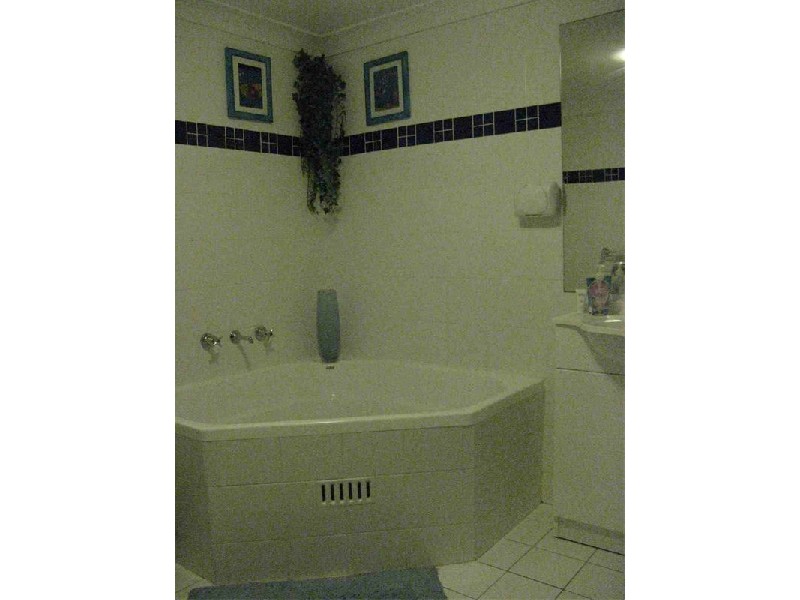 98 Chandos Street, Ashfield NSW 2131