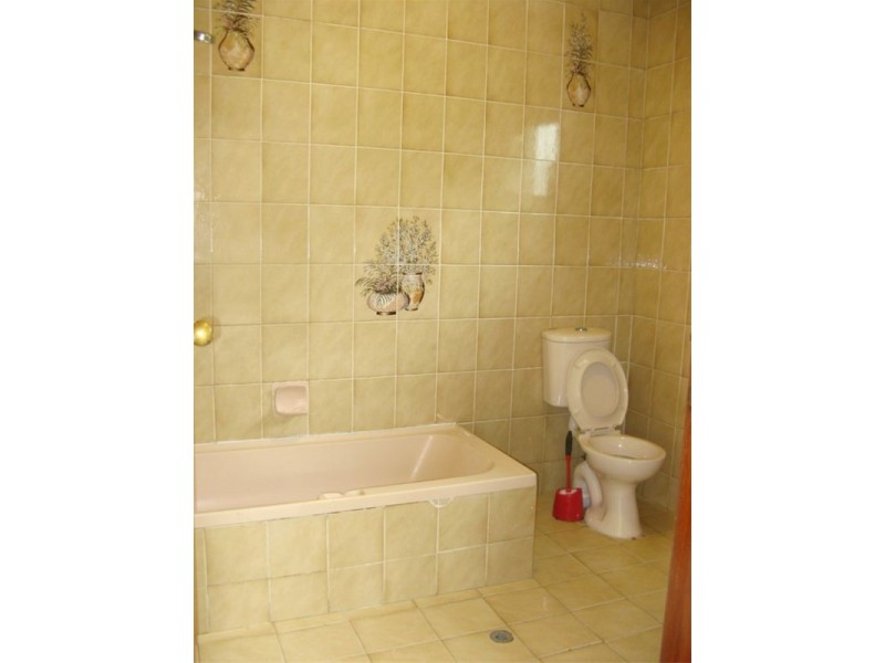 56  Beamish St, Campsie NSW 2194