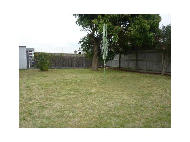 39 WALLACE STREET, Kingsford NSW 2032