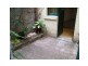 3/11-11A Hughes Street, Potts Point NSW 2011