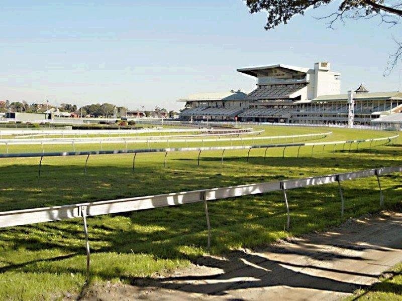 Level 1+2 Level 1+2 Frenchmans Road, Randwick NSW 2031