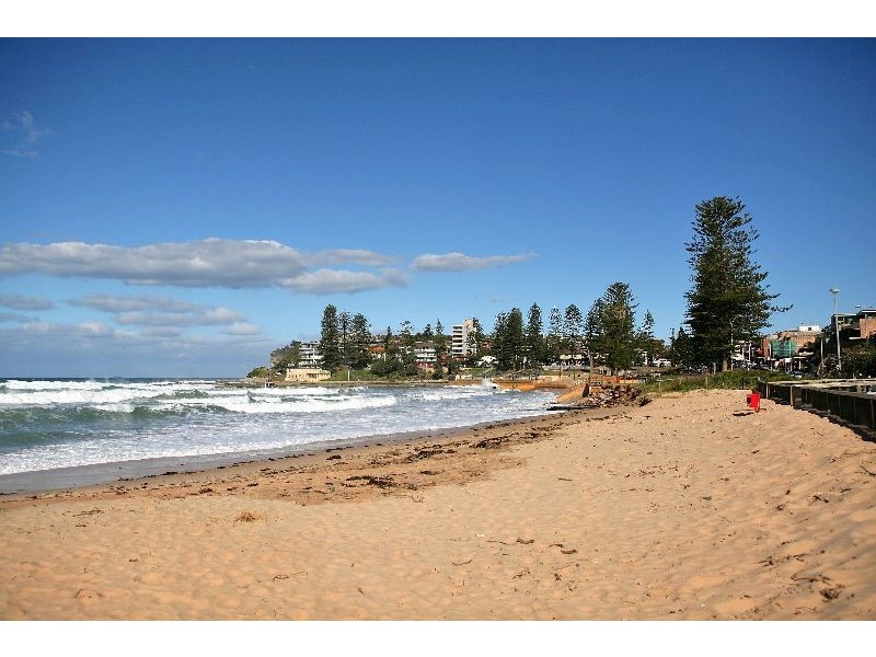 5/36  Clarence Avenue, Dee Why NSW 2099