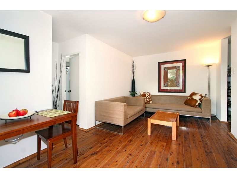 1/2   Silver Street, St Peters NSW 2044