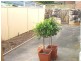 29 Westbourne Street, Petersham NSW 2049