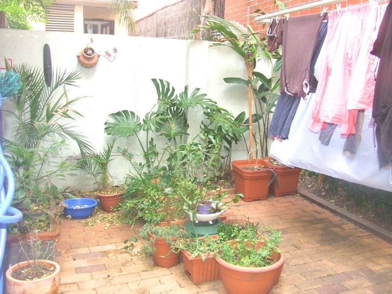 57 Iredale Street, Newtown NSW 2042