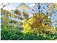 Pennant Hills NSW 2120
