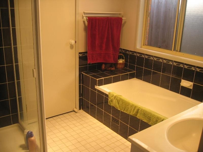 20  Hillsview Crescent, Glendenning NSW 2761