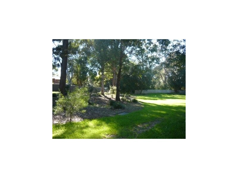 1A Sheehan Street, Wentworthville NSW 2145