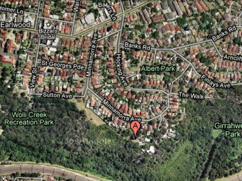 58a Minnamora Ave, Earlwood NSW 2206