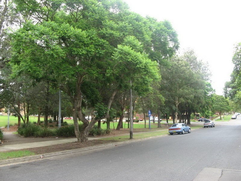 26-28 Third Ave, Campsie NSW 2194
