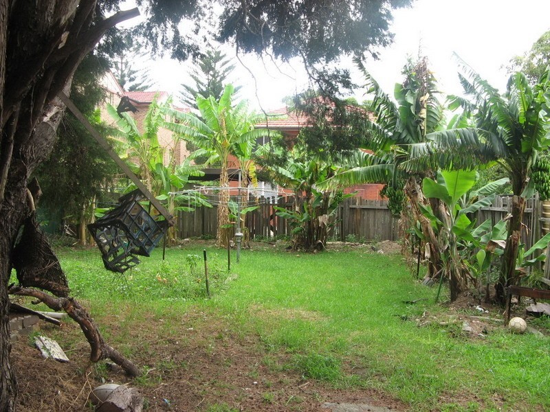 34 PARK ST, Campsie NSW 2194