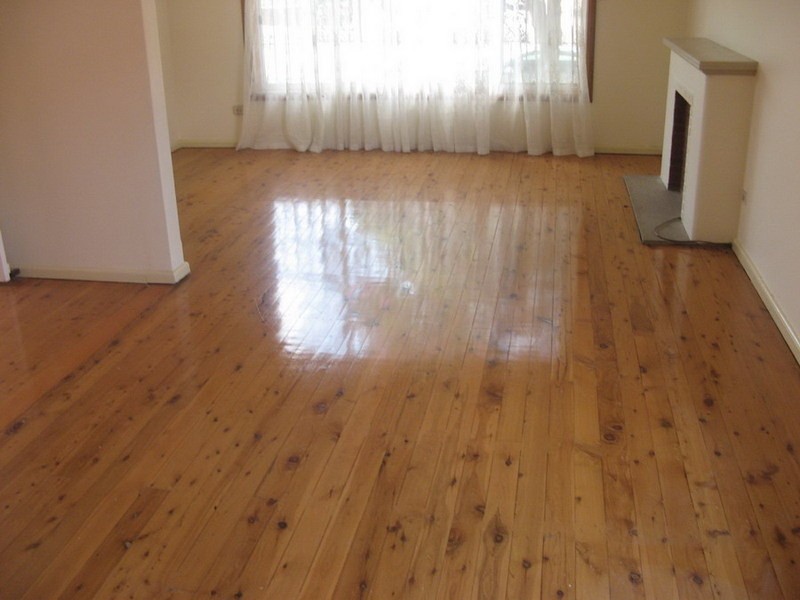 13 Lundy Street, Kingsgrove NSW 2208